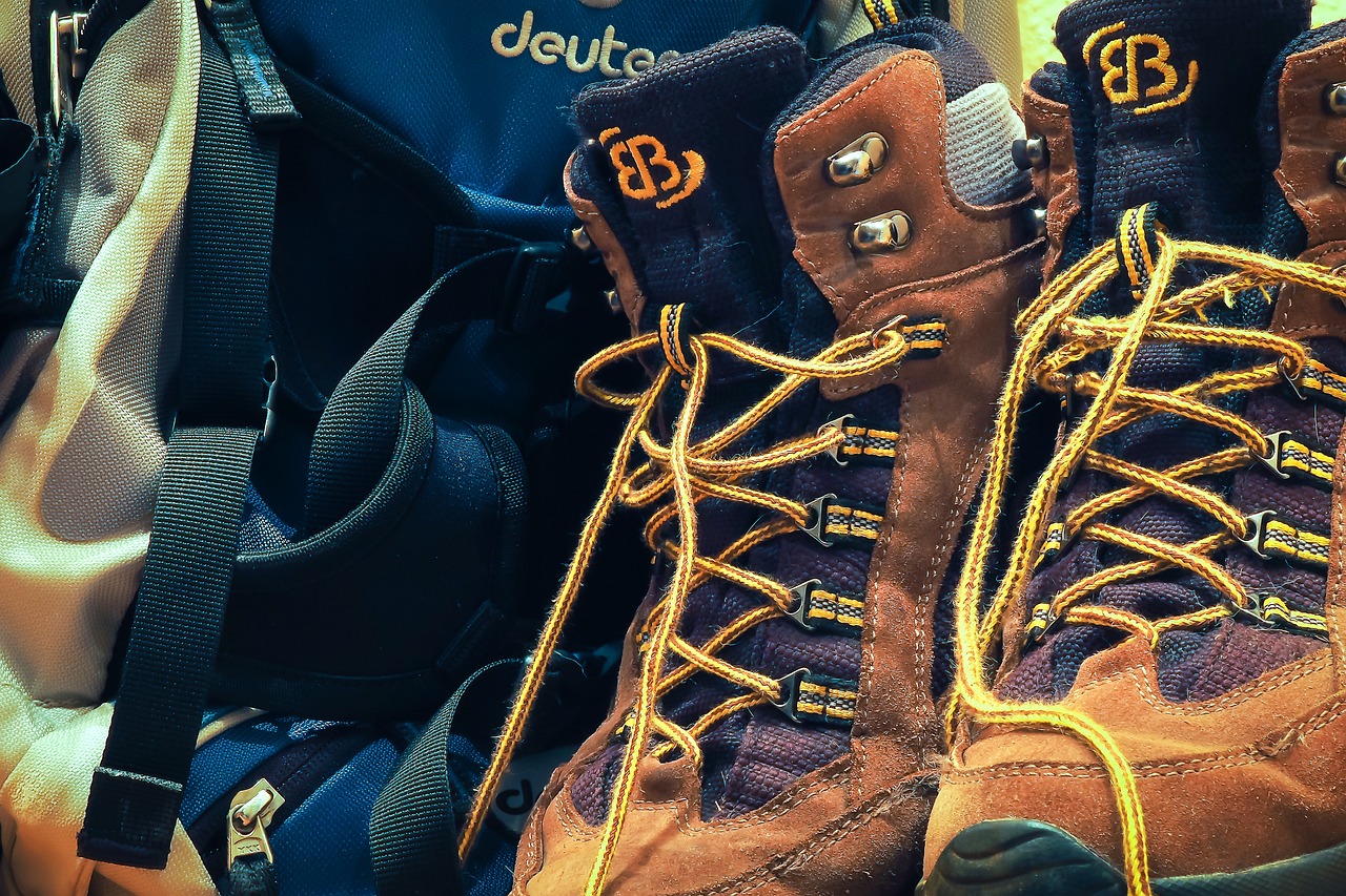 salewa alp trainer 2 mid gtx